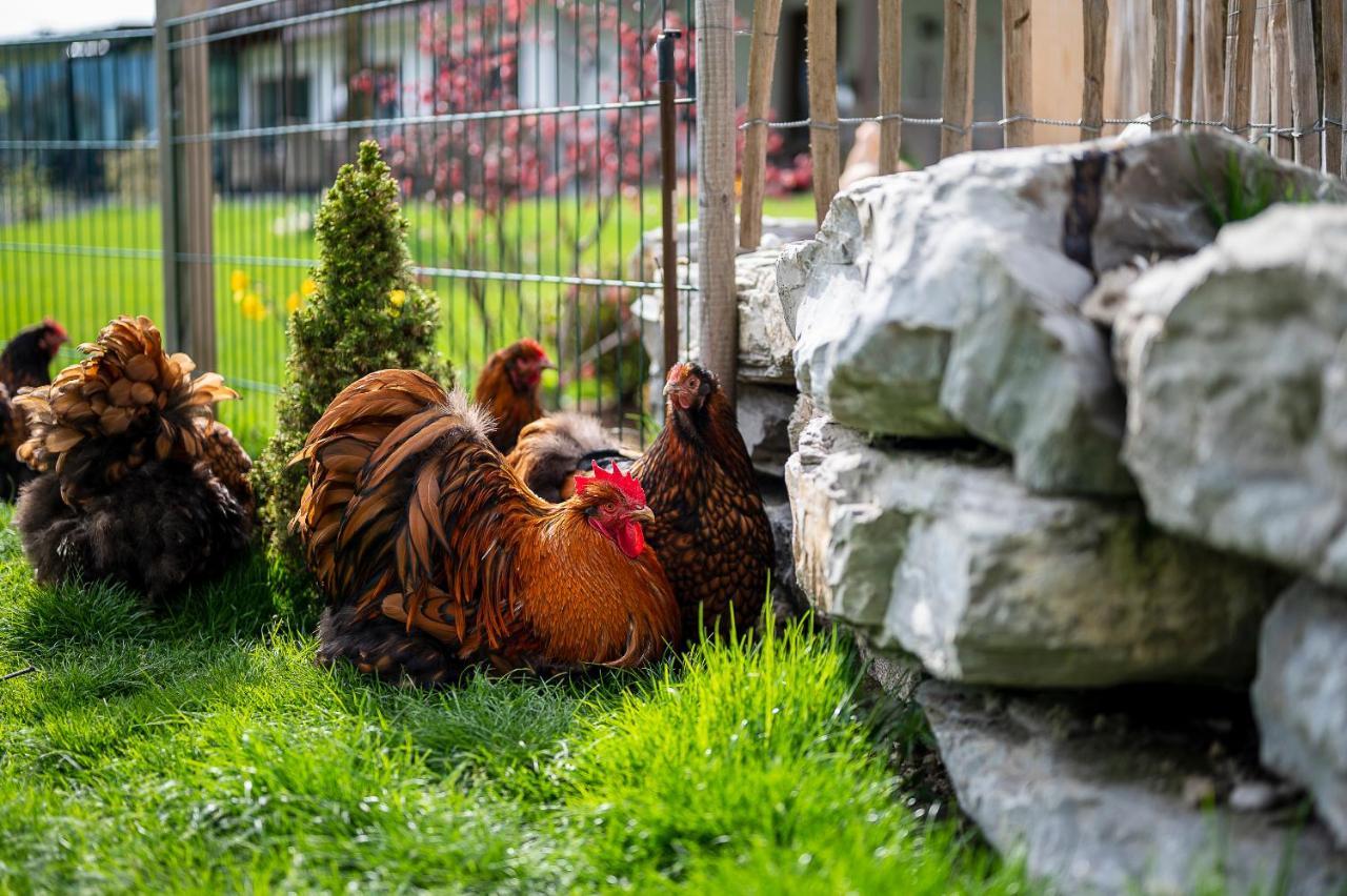 Hotel Daskaiser - Dein Gartenhotel In Tirol